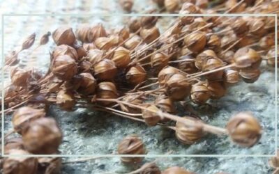 Jak zniszczyłam moją tkaninę.