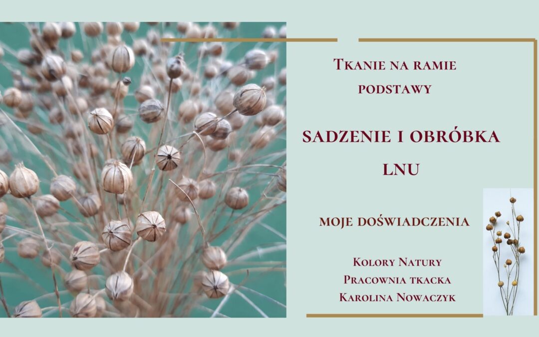 Sadzenie i obróbka lnu. Moje doświadczenia.