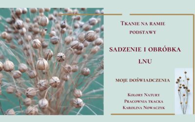 Sadzenie i obróbka lnu. Moje doświadczenia.