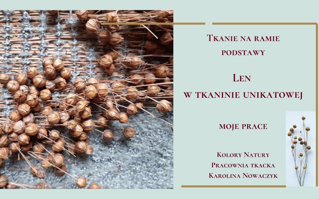 Len w moich pracach. Łodygi i gniazda nasienne.