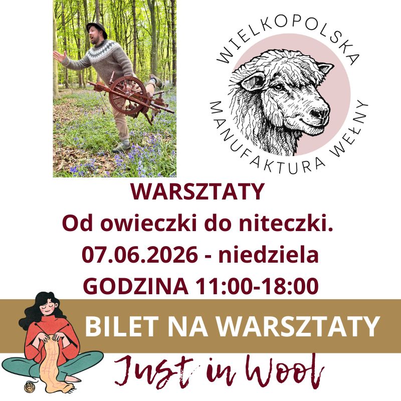 WARSZTATY - Od owieczki do niteczki